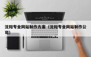 南充沈阳专业网站制作方案（沈阳专业网站制作公司）